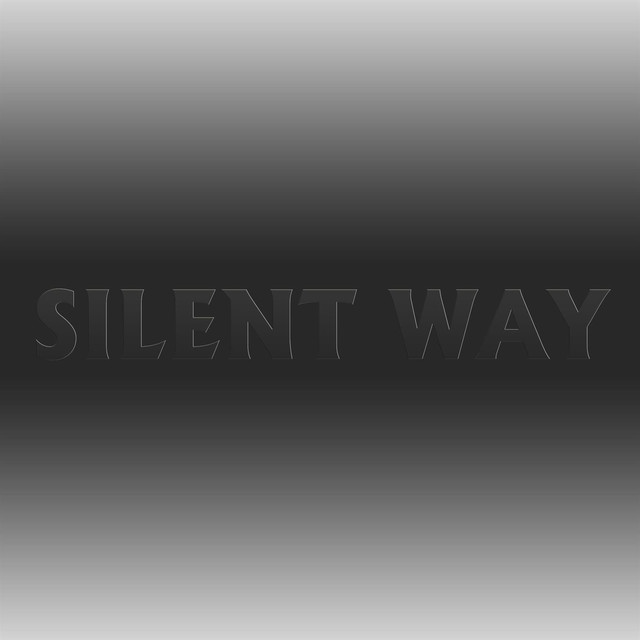 Silent Way Photo