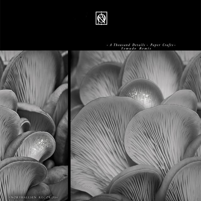 A Thousand Details Photo