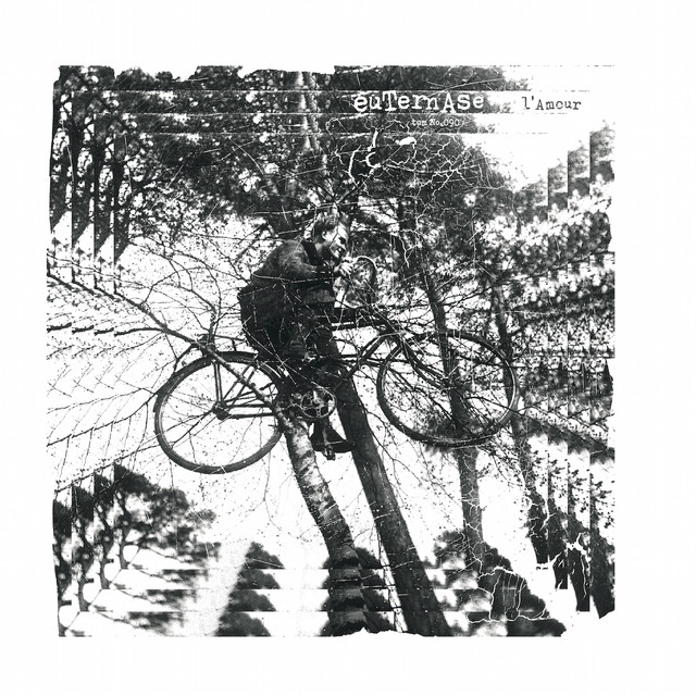 Euternase Photo