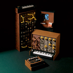 Moog Acid cover