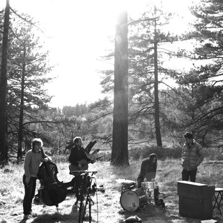 The Tree Ring Photo