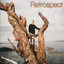 Retrospect Albumcover
