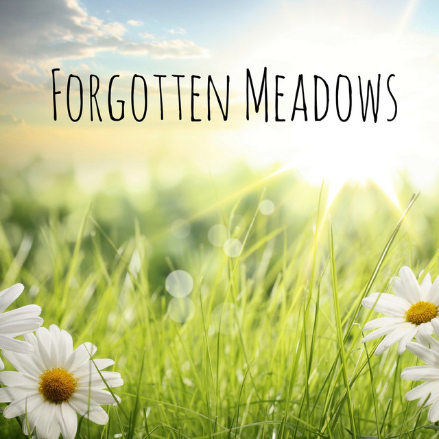 Forgotten Meadows