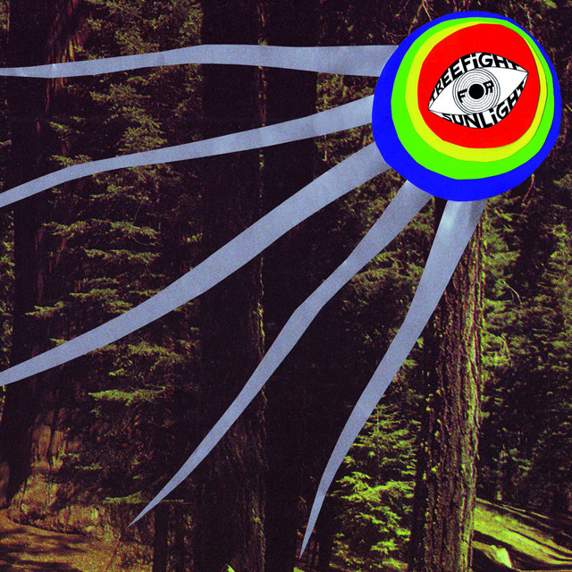 Treefight for Sunlight Photo