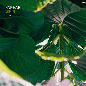Vegetal cover
