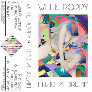 Wish & Wonder cover