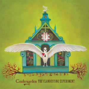The Clandestine Experiment cover