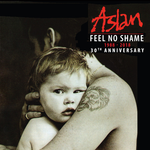 Feel No Shame cover