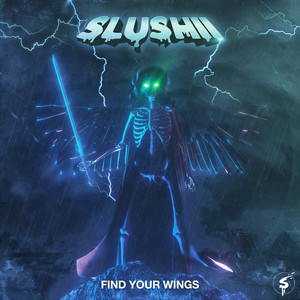 Find Your Wings cover