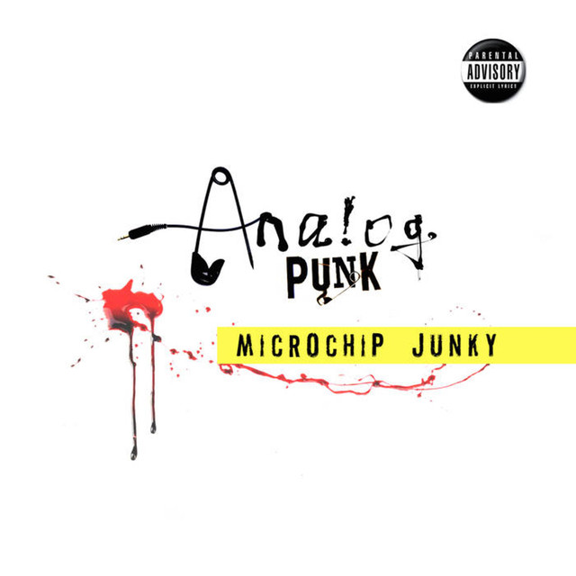 microchip junky Photo