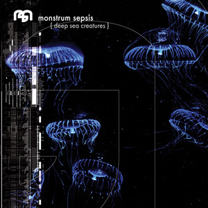 Deep Sea Creatures cover