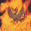 Phoenix cover