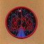 Shabazz Palaces Albumcover