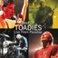 Best of Toadies: Live From Paradise cover