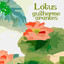 Lótus cover