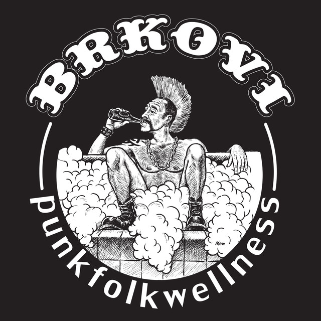 Punkfolkwellness cover