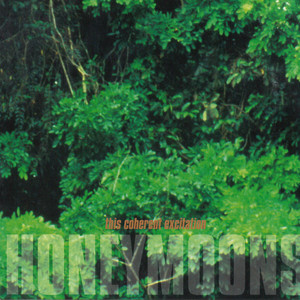 This Coherent Excitation Albumcover