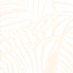 Teen Dream album