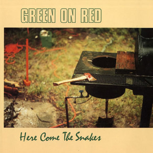 Here Come the Snakes cover