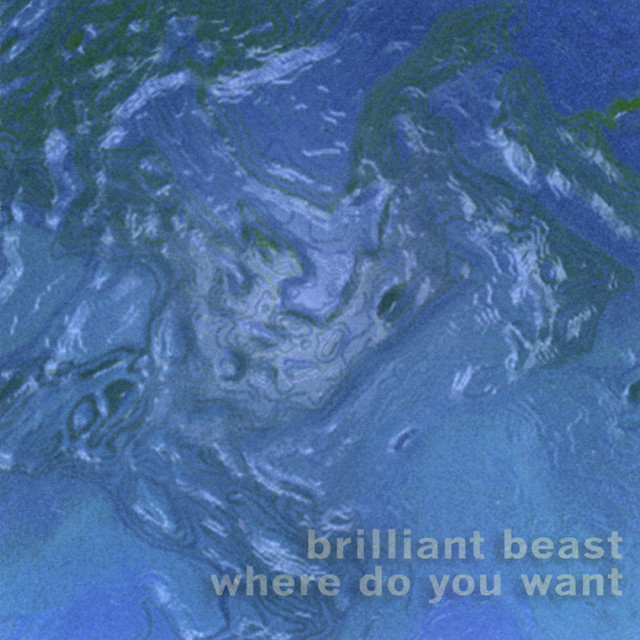 Brilliant Beast Photo