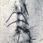 Infliction cover