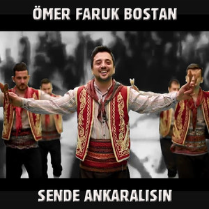 &Ouml;mer Faruk Bostan