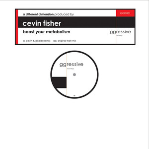 Cevin Fisher and DJ Kelee