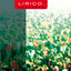 Sussurro Albumcover