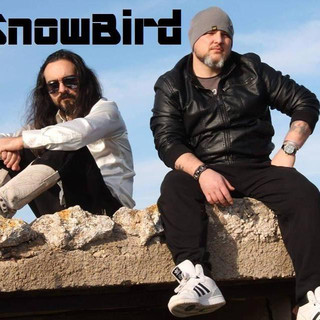 Snowbird Photo