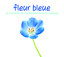 Fleur Bleue cover