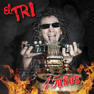 45 Años album