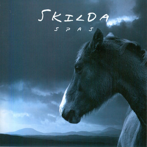 Space By Skilda cover