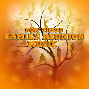 Now That's Family Reunion Music album