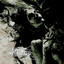 Human Harvest cover