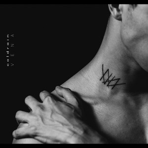 Vena cover