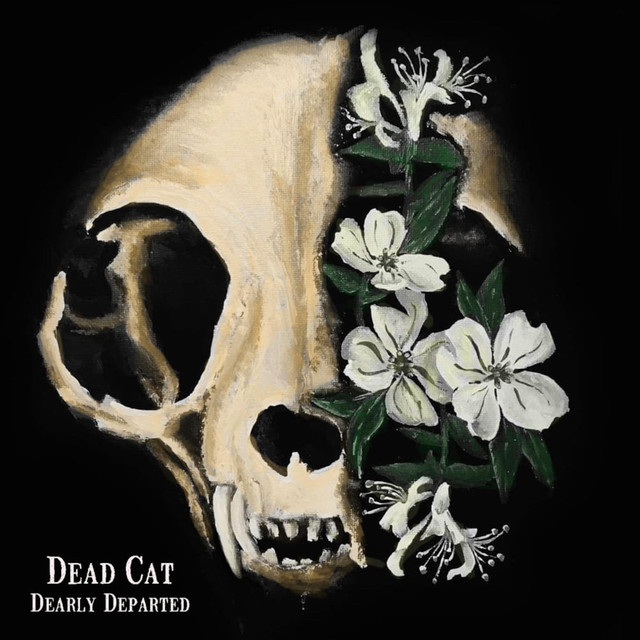 Dead Cat Photo