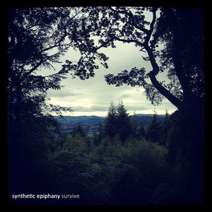 Survive Albumcover