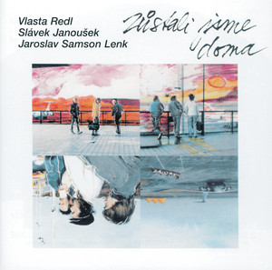 Zůstali jsme doma cover