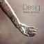 Desig Albumcover