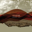 Language Lost Albumcover