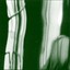 Olento Albumcover