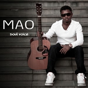 Soul Voice Albumcover