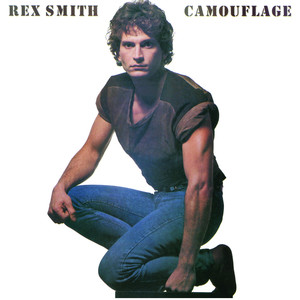 Camouflage cover