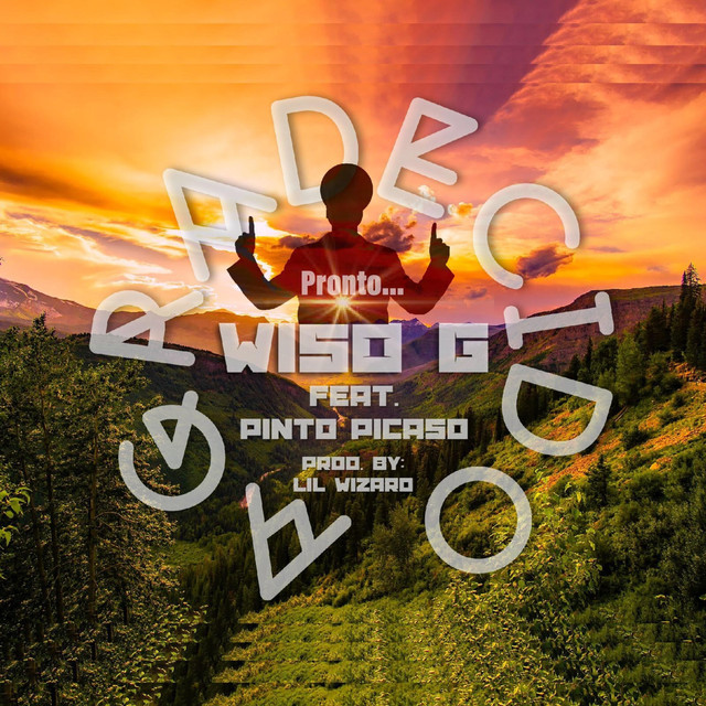 Wiso G photo