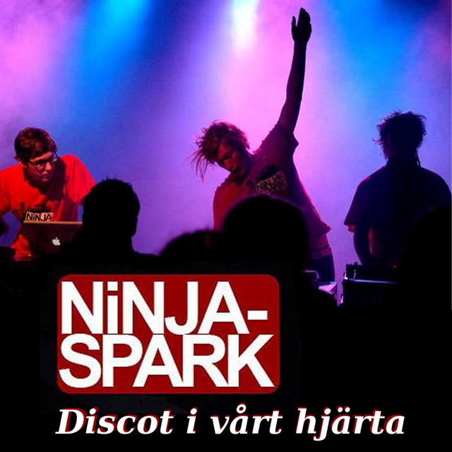 Ninjaspark photo