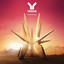 Weltraumtourist cover