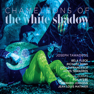Chameleons of the White Shadow album