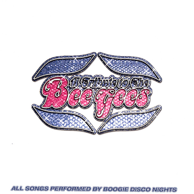 Boogie Disco Nights Photo