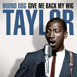 Hound Dog Taylor - Give Me Back My Wig album