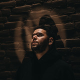 Lijpe profile